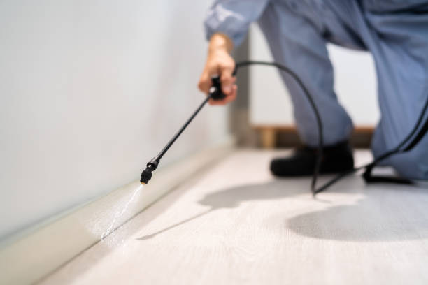 Rodent Entry Point Assessment in Yuba City