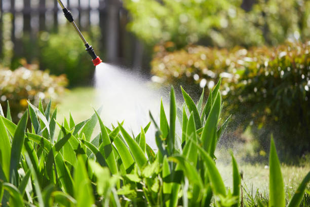 Tamper-Resistant Bait Stations for Rodents in Yuba City