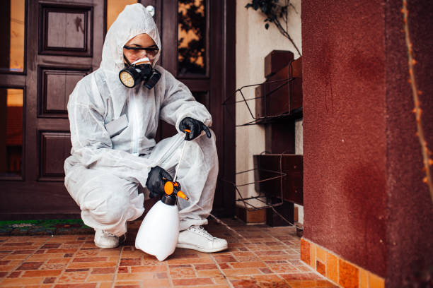 Attic and Crawl Space Rodent Treatment in Yuba City